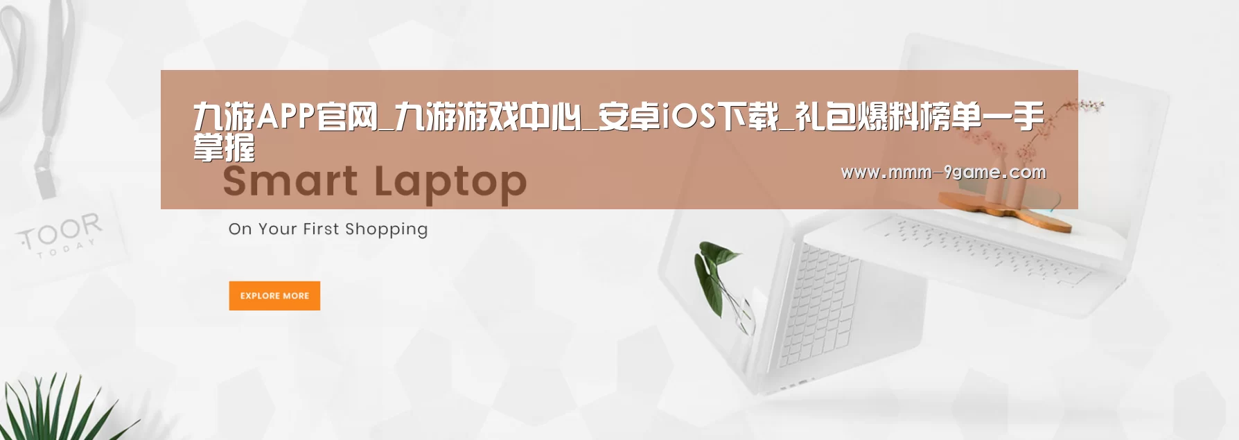 某某网络科技有限公司